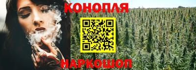 соль ск Будённовск