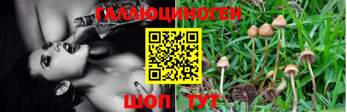 Псилоцибиновые грибы MAGIC MUSHROOMS Муром